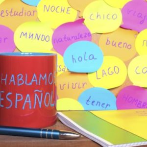 Curso Castellano Anual